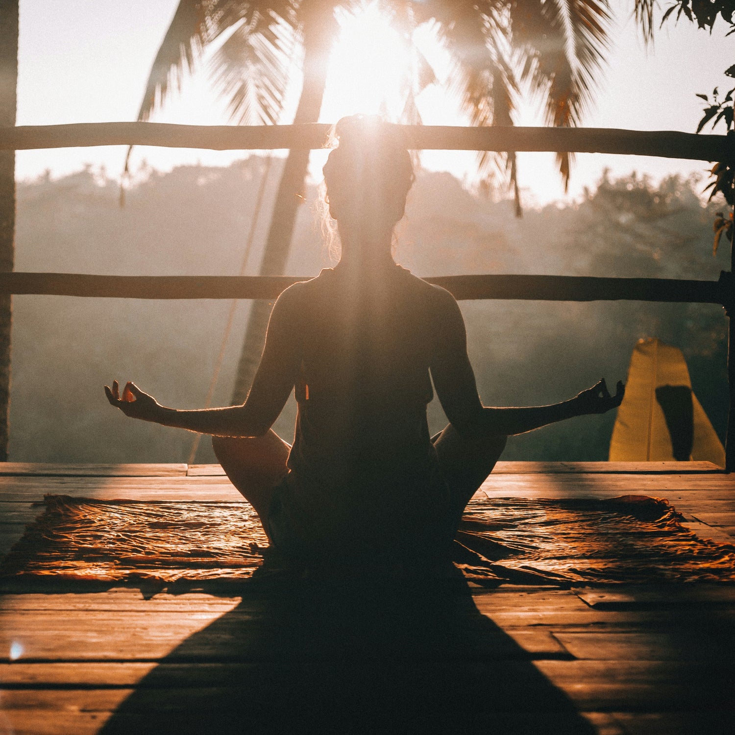 Health and Wellness