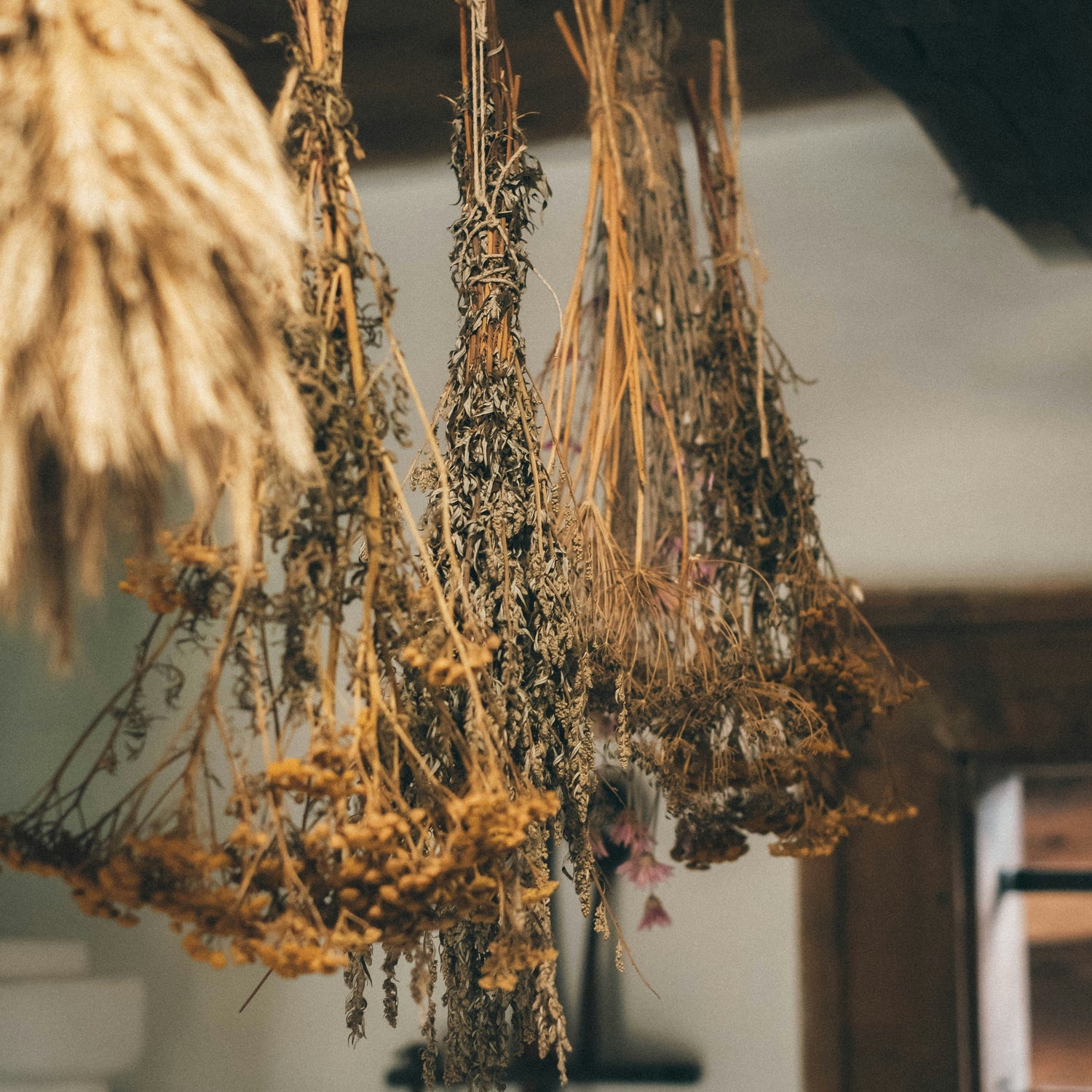 Herbs & Apothecary