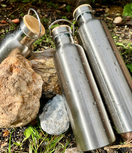 INSULATED STAINLESS STEEL WATER BOTTLE